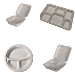 disposable food containers