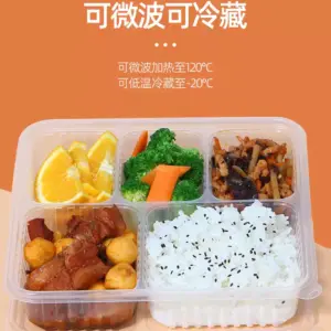disposable japanese style lunch box 2